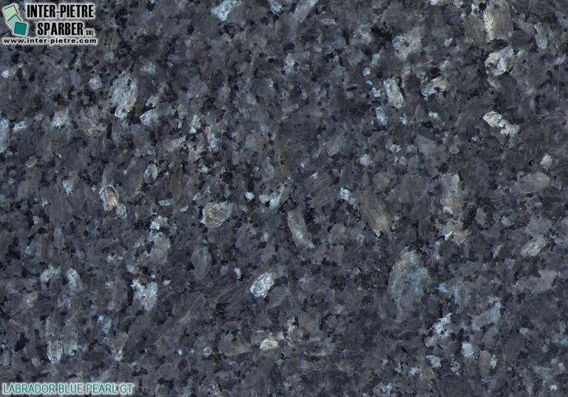 Labrador Blue Pearl GT