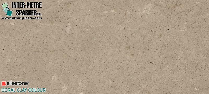 SS Coral Clay Colour
