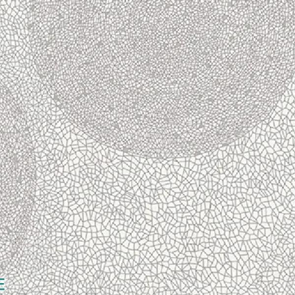 INF Holos Hyams White