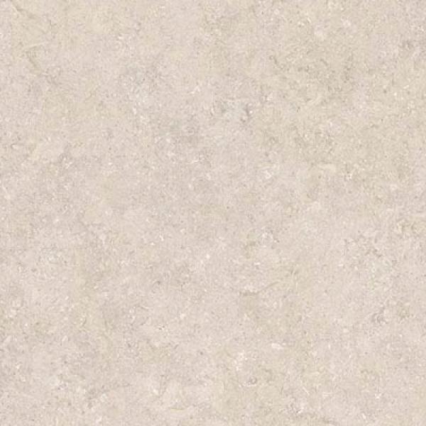 INF Palladium Ivory