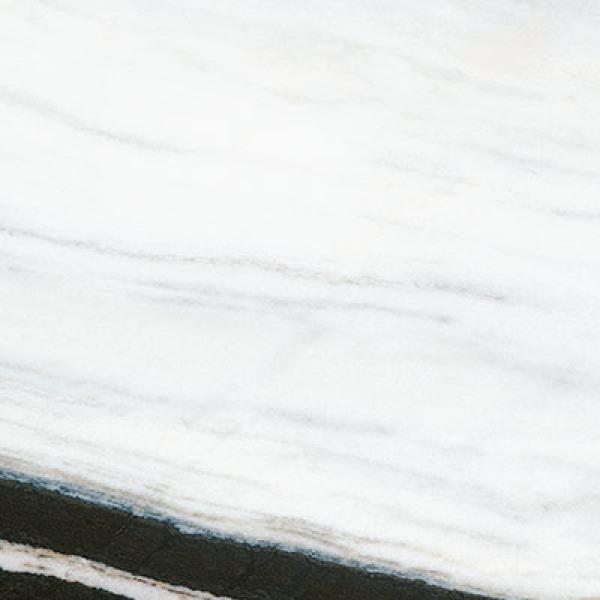 INF Panda White