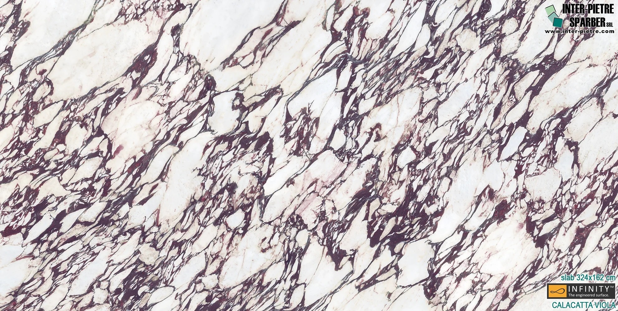Calacatta Viola_RP