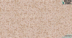 Palazzo Foscari_RP