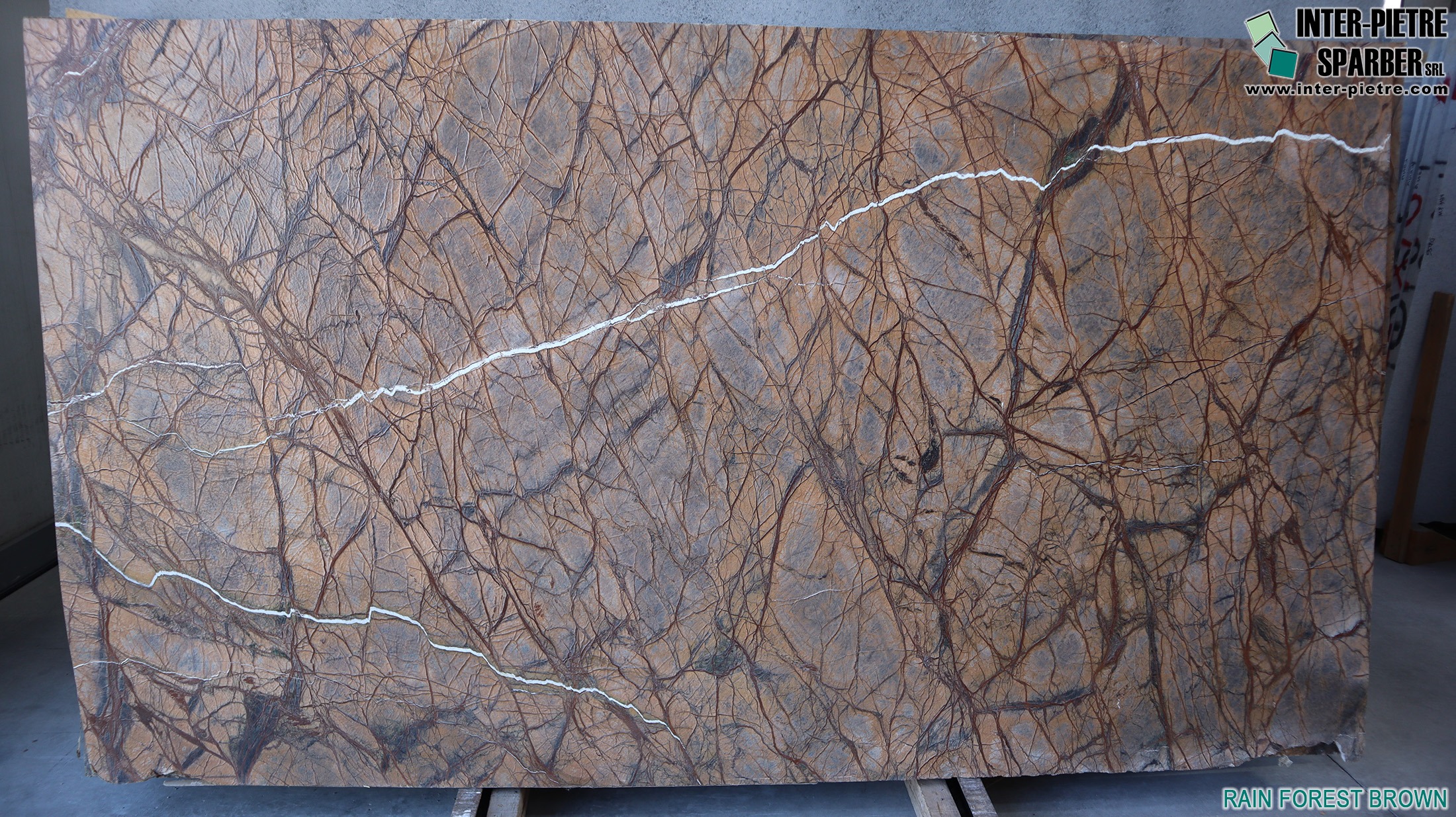 Rain Forest Brown RP