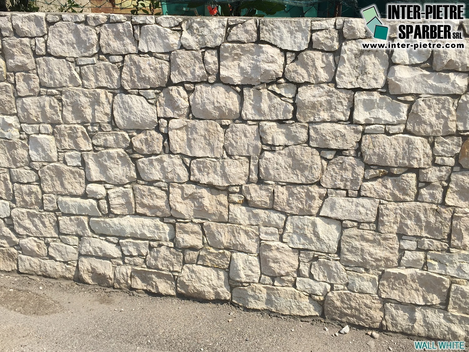 Wall White_RP