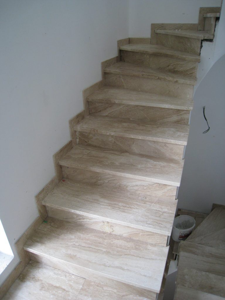 Daino Reale 4