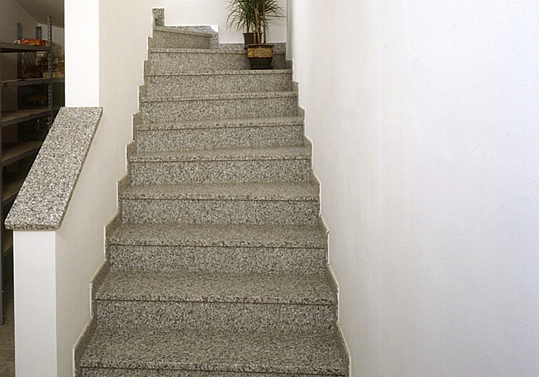 Bianco Sardo 1