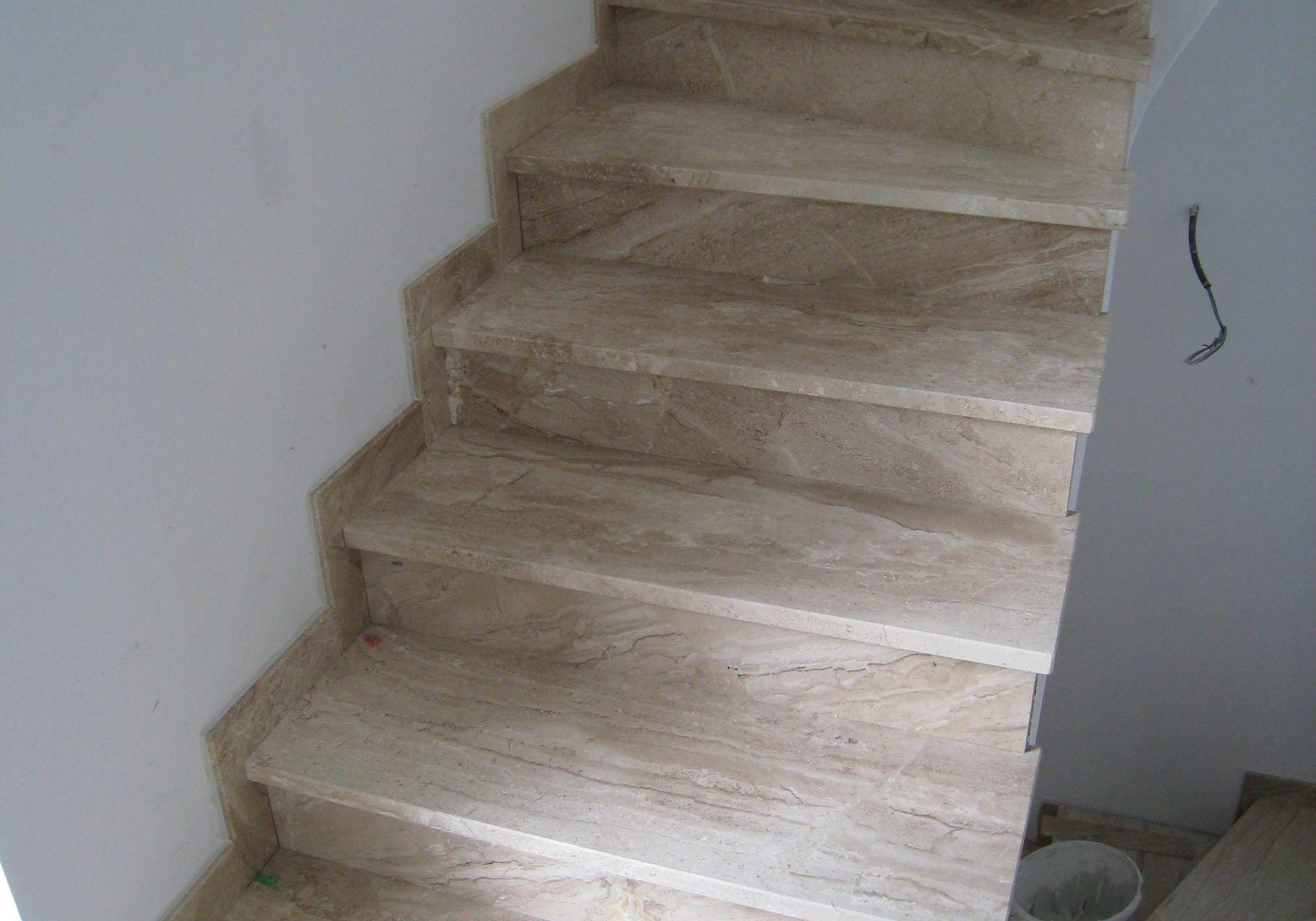 Daino Reale 4