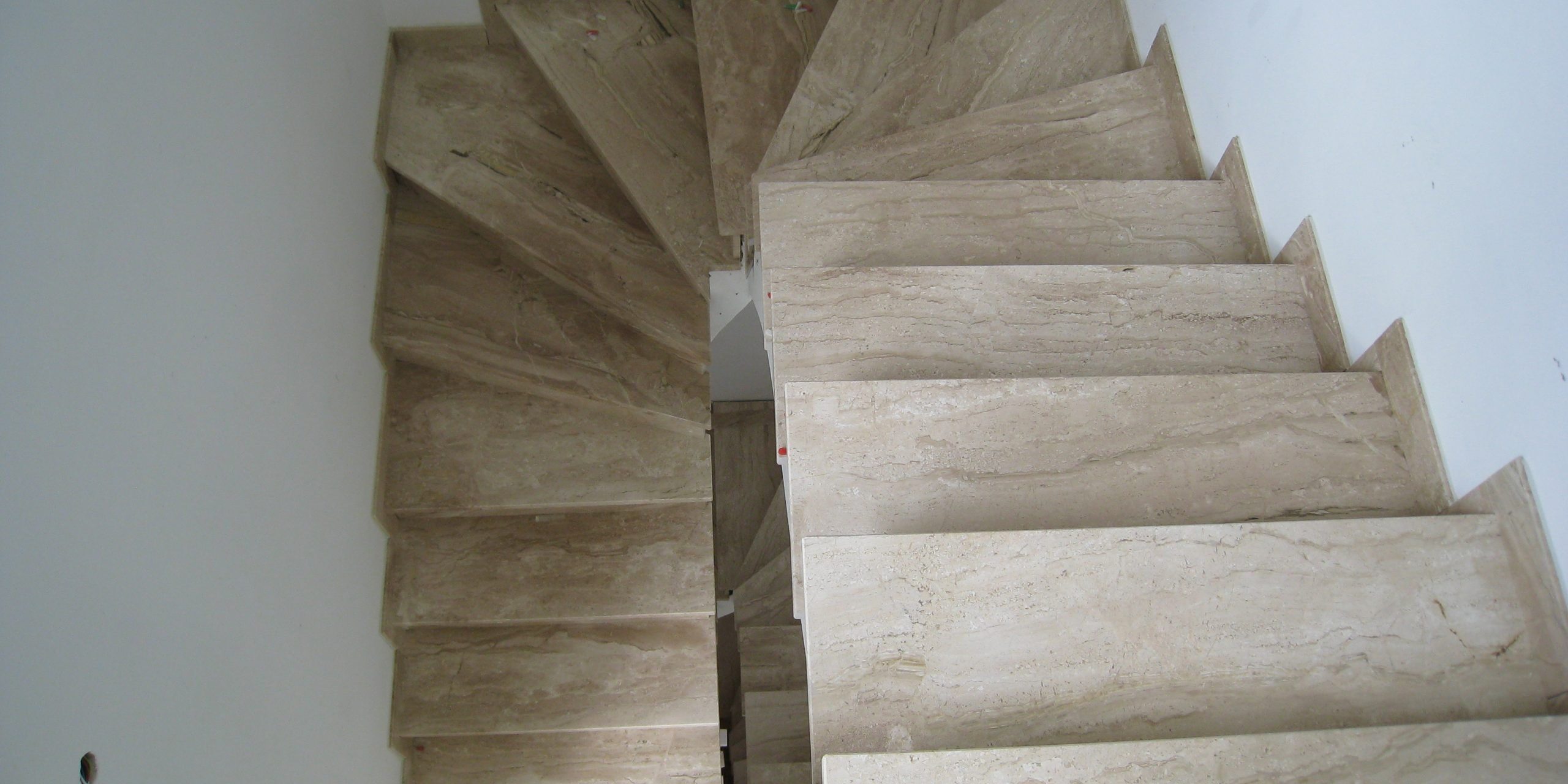 Daino Reale 7